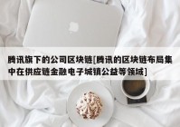 腾讯旗下的公司区块链[腾讯的区块链布局集中在供应链金融电子城镇公益等领域]