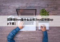 区块链bsn是什么公司[bsn区块链app下载]